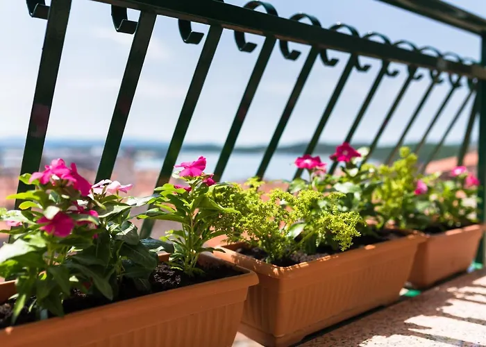 Saint Michael שיבניק